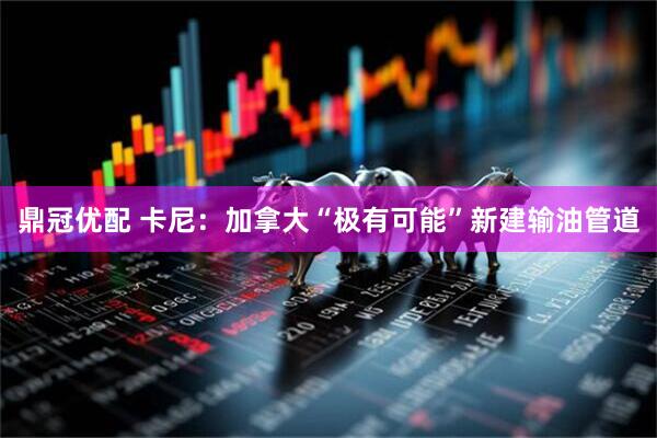 鼎冠优配 卡尼：加拿大“极有可能”新建输油管道