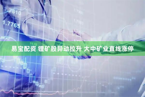 易宝配资 锂矿股异动拉升 大中矿业直线涨停