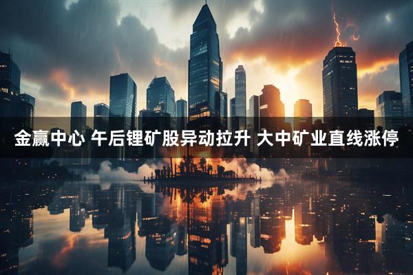 金赢中心 午后锂矿股异动拉升 大中矿业直线涨停