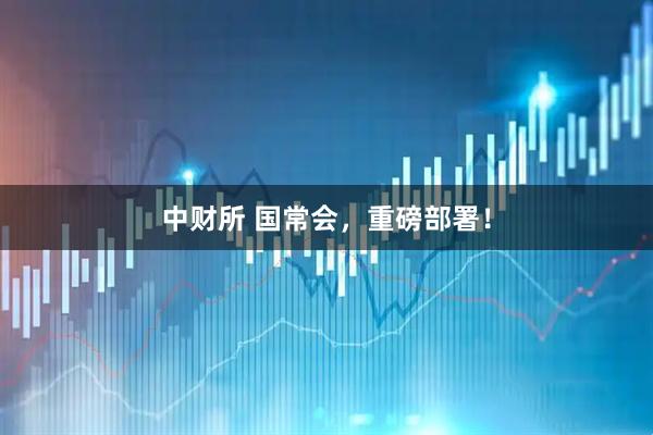 中财所 国常会，重磅部署！