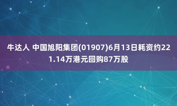 牛达人 中国旭阳集团(01907)6月13日耗资约221.14万港元回购87万股