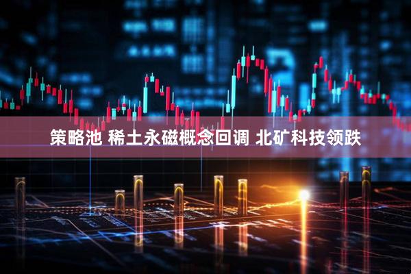 策略池 稀土永磁概念回调 北矿科技领跌